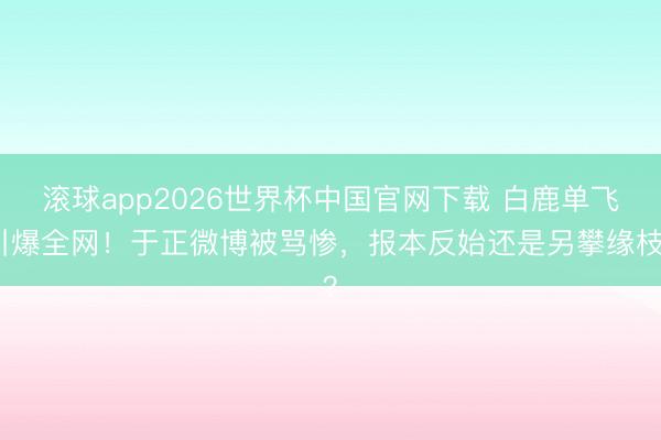 滚球app2026世界杯中国官网下载 白鹿单飞引爆全网!于正微博被骂惨,报本反始还是另攀缘枝?