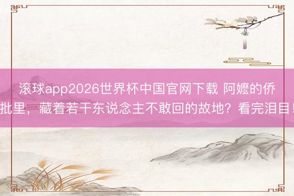 滚球app2026世界杯中国官网下载 阿嬷的侨批里,藏着若干东说念主不敢回的故地?看完泪目!