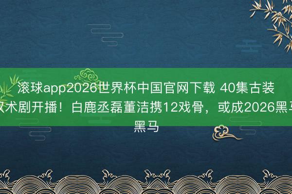 滚球app2026世界杯中国官网下载 40集古装权术剧开播!白鹿丞磊董洁携12戏骨,或成2026黑马