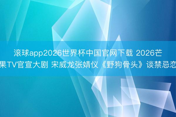滚球app2026世界杯中国官网下载 2026芒果TV官宣大剧 宋威龙张婧仪《野狗骨头》谈禁忌恋
