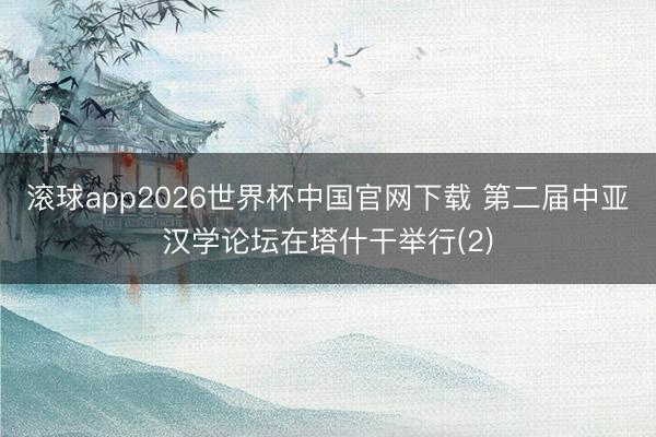 滚球app2026世界杯中国官网下载 第二届中亚汉学论坛在塔什干举行(2)