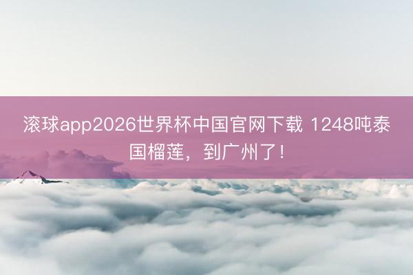 滚球app2026世界杯中国官网下载 1248吨泰国榴莲,到广州了!
